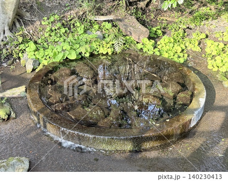 静岡県清水町にある柿田川湧水群の美しい湧き間と新緑の風景 140230413