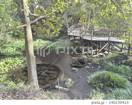 静岡県清水町にある柿田川湧水群の美しい湧き間と新緑の風景 140230423