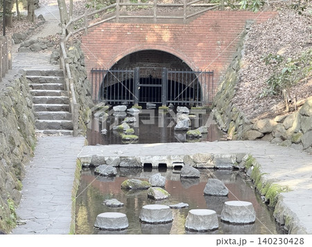 静岡県清水町にある柿田川湧水群の美しい湧き間と新緑の風景 静岡県清水町にある柿田川湧水群の美しい湧き間と新緑の風景 140230428