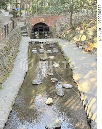 静岡県清水町にある柿田川湧水群の美しい湧き間と新緑の風景 140230430