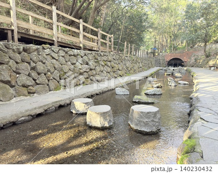 静岡県清水町にある柿田川湧水群の美しい湧き間と新緑の風景 静岡県清水町にある柿田川湧水群の美しい湧き間と新緑の風景 140230432