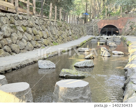静岡県清水町にある柿田川湧水群の美しい湧き間と新緑の風景 140230433