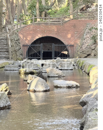 静岡県清水町にある柿田川湧水群の美しい湧き間と新緑の風景 静岡県清水町にある柿田川湧水群の美しい湧き間と新緑の風景 140230434