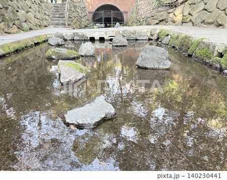 静岡県清水町にある柿田川湧水群の美しい湧き間と新緑の風景 静岡県清水町にある柿田川湧水群の美しい湧き間と新緑の風景 140230441