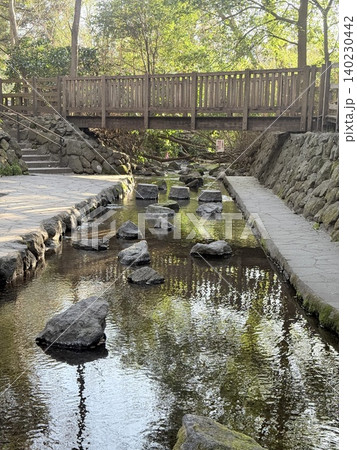 静岡県清水町にある柿田川湧水群の美しい湧き間と新緑の風景 静岡県清水町にある柿田川湧水群の美しい湧き間と新緑の風景 140230442