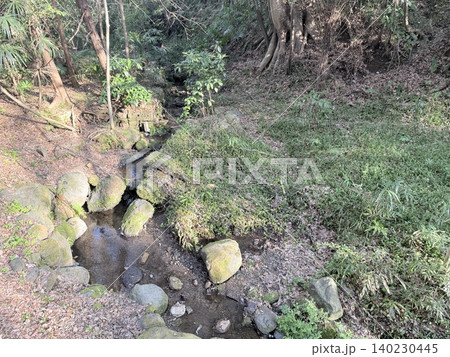 静岡県清水町にある柿田川湧水群の美しい湧き間と新緑の風景 140230445