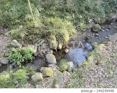 静岡県清水町にある柿田川湧水群の美しい湧き間と新緑の風景 140230446