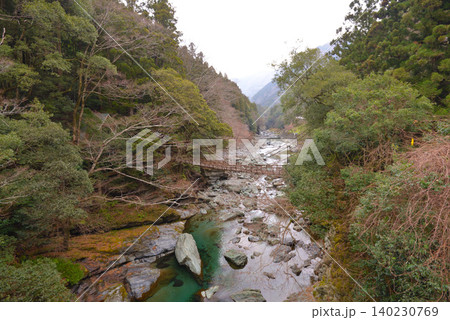 祖谷渓のかずら橋(徳島県三好市) 祖谷渓のかずら橋(徳島県三好市) 140230769