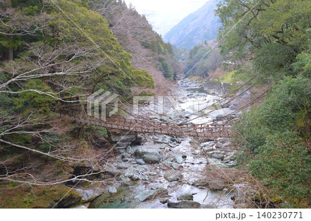 祖谷渓のかずら橋(徳島県三好市) 祖谷渓のかずら橋(徳島県三好市) 140230771