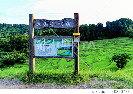 【千葉】初夏の鴨川 夕暮れ時の大山千枚田 【千葉】初夏の鴨川 夕暮れ時の大山千枚田 140230778