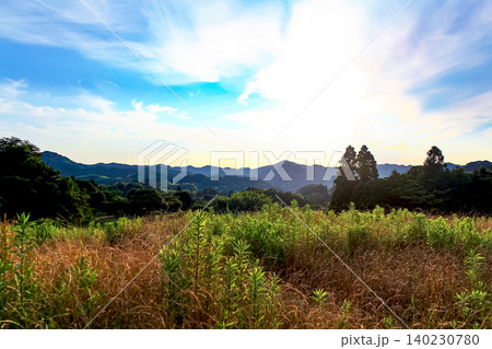 【千葉】初夏の鴨川 大山千枚田から望む夕日 【千葉】初夏の鴨川 大山千枚田から望む夕日 140230780