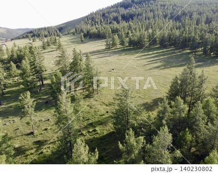 モンゴルのウランバートル郊外の広大な草原で乗馬を楽しむ風景 140230802
