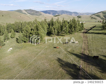モンゴルのウランバートル郊外の広大な草原で乗馬を楽しむ風景 モンゴルのウランバートル郊外の広大な草原で乗馬を楽しむ風景 140230815