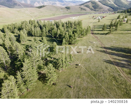 モンゴルのウランバートル郊外の広大な草原で乗馬を楽しむ風景 140230816