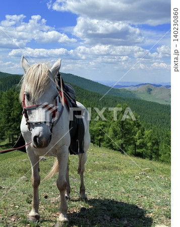 モンゴル・ウランバートル郊外の大草原で乗馬ツアーを楽しむ モンゴル・ウランバートル郊外の大草原で乗馬ツアーを楽しむ 140230860