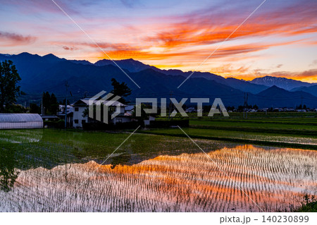 （長野県）田植えが終わった安曇野の田園風景　夕景 140230899