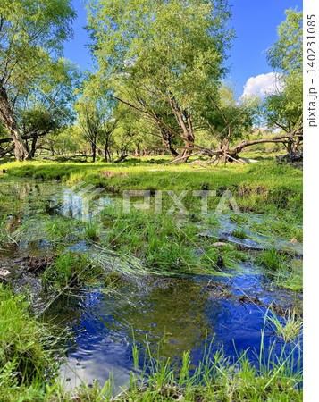 ウランバートル郊外に広がるモンゴルの広大な草原と大自然の風景 ウランバートル郊外に広がるモンゴルの広大な草原と大自然の風景 140231085