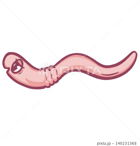 Cute cartoon worm pink vector illustration Cute cartoon worm pink vector illustration 140231368