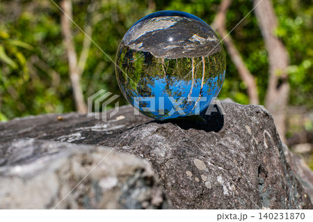 Ball on Forest Ground with Inverted flowers Reflection 140231870