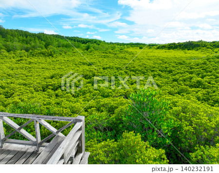 Aerial view green mangrove forest. Carbon storage, climate change mitigation, and conservation of vital marine habitats. Essential for coastal protection, restoration efforts, and blue carbon programs 140232191