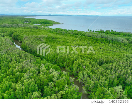 Aerial view green mangrove forest. Carbon storage, climate change mitigation, and conservation of vital marine habitats. Essential for coastal protection, restoration effort. Mangrove tree capture CO2 Aerial view green mangrove forest. Carbon storage, climate change mitigation, and conservation of vital marine habitats. Essential for coastal protection, restoration effort. Mangrove tree capture CO2 140232193