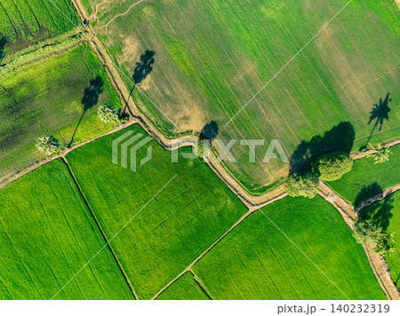 Aerial view of lush green rice field with small winding canal. Sustainable agriculture landscape. Sustainable rice farming. Rice cultivation. Green landscape. Organic farming. Sustainable land use. Aerial view of lush green rice field with small winding canal. Sustainable agriculture landscape. Sustainable rice farming. Rice cultivation. Green landscape. Organic farming. Sustainable land use. 140232319