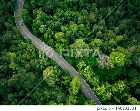 Aerial view of dense green trees in forest capture CO2 and curve highway road. Green trees background for carbon neutrality and net zero emissions concept. Sustainable green environment. Carbon credit 140232331