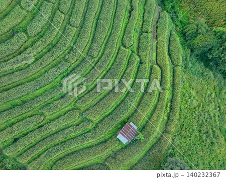 Landscape of green rice terraces and traditional huts in a village near Chiangmai, Thailand. Travel destinations. Beauty of terraced rice fields. Rural life and traditional farming practices in Asia. 140232367