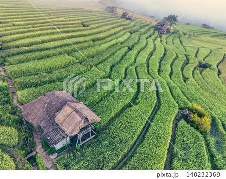 Landscape of green rice terraces and traditional huts in a village near Chiangmai, Thailand. Travel destinations. Beauty of terraced rice fields. Rural life and traditional farming practices in Asia. 140232369