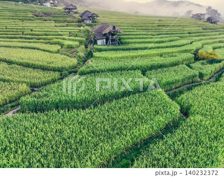 Landscape of green rice terraces and traditional huts in a village near Chiangmai, Thailand. Travel destinations. Beauty of terraced rice fields. Rural life and traditional farming practices in Asia. Landscape of green rice terraces and traditional huts in a village near Chiangmai, Thailand. Travel destinations. Beauty of terraced rice fields. Rural life and traditional farming practices in Asia. 140232372