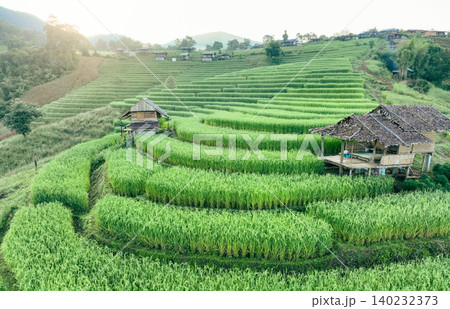 Landscape of green rice terraces and traditional huts in a village near Chiangmai, Thailand. Travel destinations. Beauty of terraced rice fields. Rural life and traditional farming practices in Asia. Landscape of green rice terraces and traditional huts in a village near Chiangmai, Thailand. Travel destinations. Beauty of terraced rice fields. Rural life and traditional farming practices in Asia. 140232373