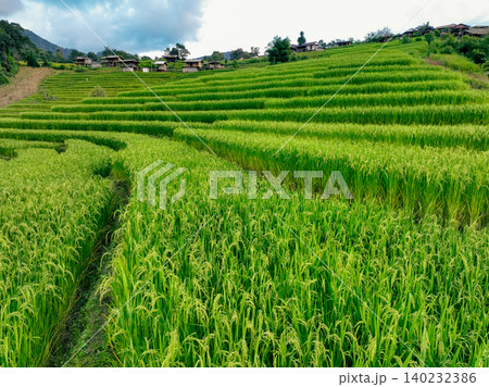 Landscape of green rice terraces and traditional huts in a village near Chiangmai, Thailand. Travel destinations. Beauty of terraced rice fields. Rural life and traditional farming practices in Asia. Landscape of green rice terraces and traditional huts in a village near Chiangmai, Thailand. Travel destinations. Beauty of terraced rice fields. Rural life and traditional farming practices in Asia. 140232386