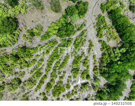 Aerial top view of green mangrove forest. Mangrove ecosystem. Natural carbon sinks. Mangroves capture CO2 from the atmosphere. Blue carbon ecosystems. Mangroves absorb carbon dioxide emissions. Aerial top view of green mangrove forest. Mangrove ecosystem. Natural carbon sinks. Mangroves capture CO2 from the atmosphere. Blue carbon ecosystems. Mangroves absorb carbon dioxide emissions. 140232508