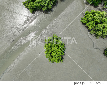 Aerial top view of green mangrove forest. Mangrove ecosystem. Natural carbon sinks. Mangroves capture CO2 from the atmosphere. Blue carbon ecosystems. Mangroves absorb carbon dioxide emissions. 140232516