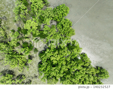 Aerial top view of green mangrove forest. Mangrove ecosystem. Natural carbon sinks. Mangroves capture CO2 from the atmosphere. Blue carbon ecosystems. Mangroves absorb carbon dioxide emissions. 140232527