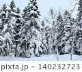 雪深い冬の森林 140232723