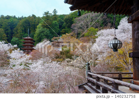 桜に囲まれた長谷寺の五重塔 140232758
