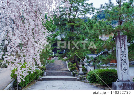桜に囲まれた長谷寺の参道 桜に囲まれた長谷寺の参道 140232759