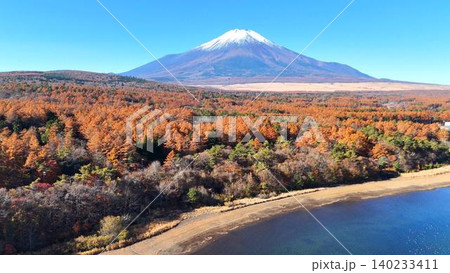 秋の陽光に輝くカラマツの森と山中湖と富士山の俯瞰 秋の陽光に輝くカラマツの森と山中湖と富士山の俯瞰 140233411