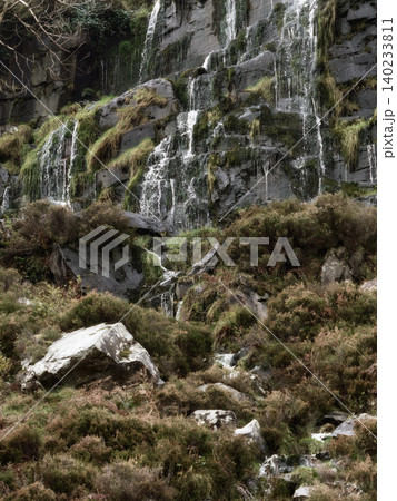 Bare winter trees and evergreen shrubs grow out of crevices in a rocky mountain slope. 140233811