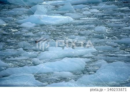 Spegazzini glacier argentina view huge panorama Spegazzini glacier argentina view huge panorama 140233871