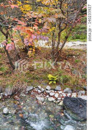 草津温泉 西の河原公園 美しい秋の風景(群馬県吾妻郡草津町) 草津温泉 西の河原公園 美しい秋の風景(群馬県吾妻郡草津町) 140233927