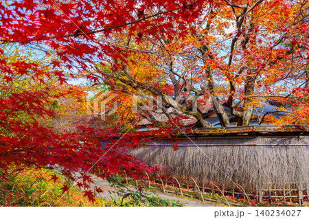 京都 宝厳院の紅葉 京都 宝厳院の紅葉 140234027