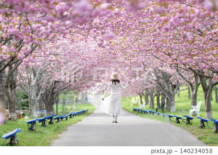 羅生門さくら公園(桜のトンネル)51517- 羅生門さくら公園(桜のトンネル)51517- 140234058