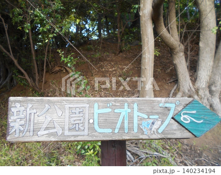 増尾城址公園その13 140234194