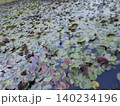 増尾城址公園その11 140234196
