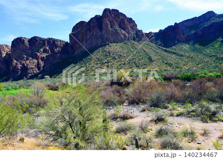 Salt River Recreation Area Arizona 140234467