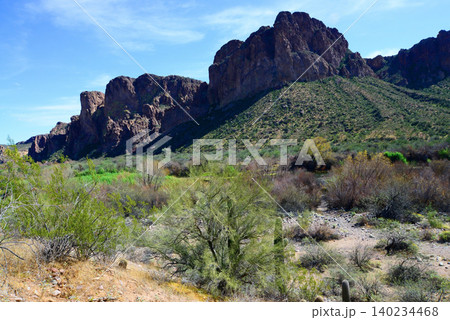 Salt River Recreation Area Arizona Salt River Recreation Area Arizona 140234468