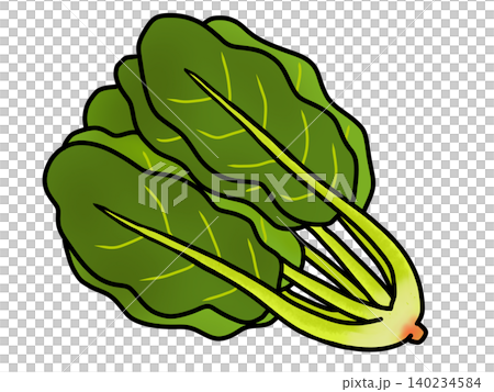 簡單的菠菜圖 簡單的菠菜圖 140234584