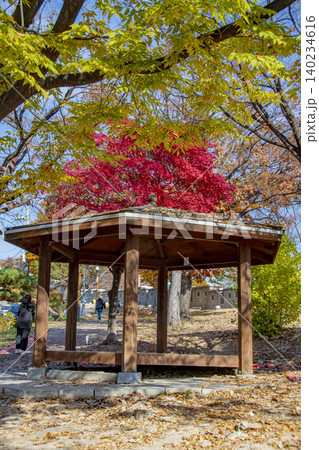 ソウルのナクサン公園周りの風景 140234616